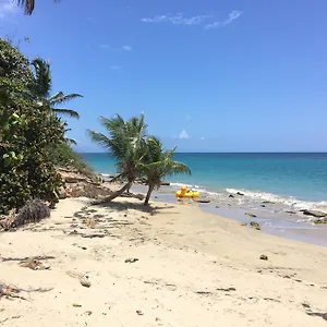 Apartment Relaxing Sunny Beach Side Near San Juan, Loiza